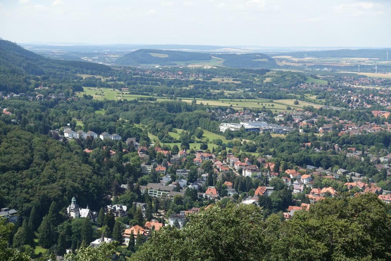 Ferienwohnung Ohanna Bad Harzburg Buitenkant foto